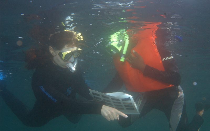 Fig. 2B WWF Finland Environmental Officer Hanna identifying fish with student